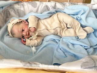 Muñeca Reborn realista