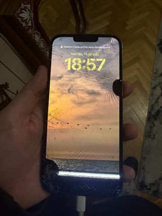 iPhone 13 Pro Max per parti - Cover rotta