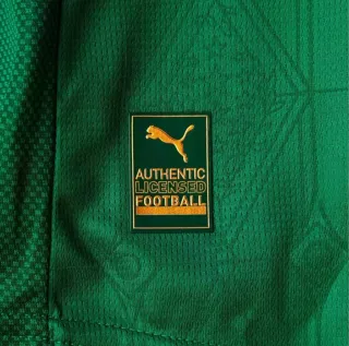 Kit Infantil Palmeiras 25/26 - Verde e Branco