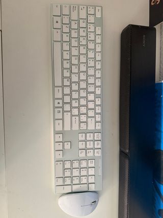 Teclado y Ratón Sony