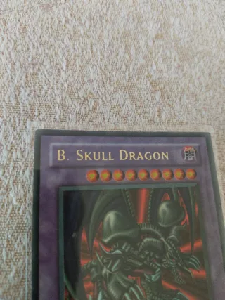 B. Skull Dragon YuGiOh