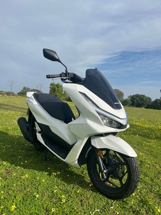 Honda PCX 125 2025 Blanca