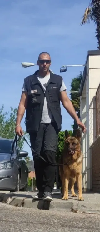 Adiestrador Canino
