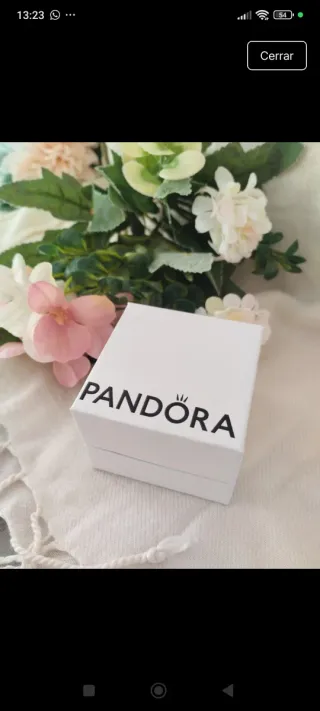 Pendientes Pandora Aro Brillantes Plata