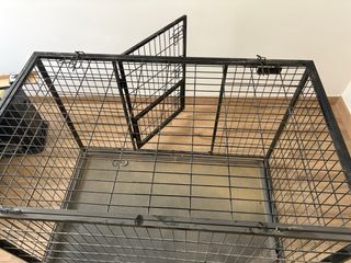 Jaula grande para perro