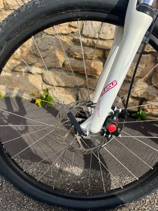 Bici da montagna Specialized per donna o ragazza