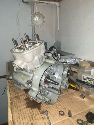 Motor Euro 3 74cc SIN EJE DE BALANCE