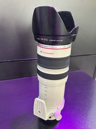 Canon EF 28-300mm f/3.5-5.6L IS USM