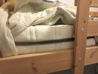 Literas de pino sin estrenar + 2 colchones