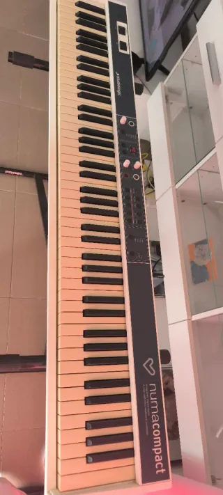 Teclado Studiologic Numacompact