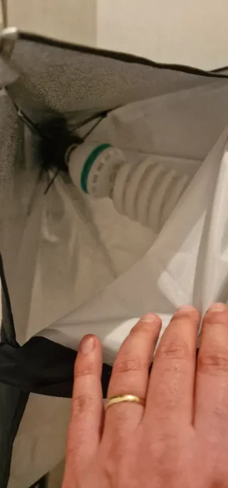 Luz de fotografía profesional