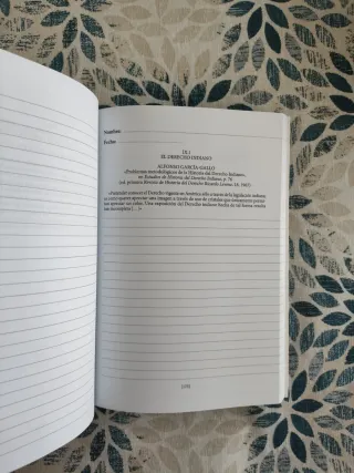 Manual De Historia Del Derecho