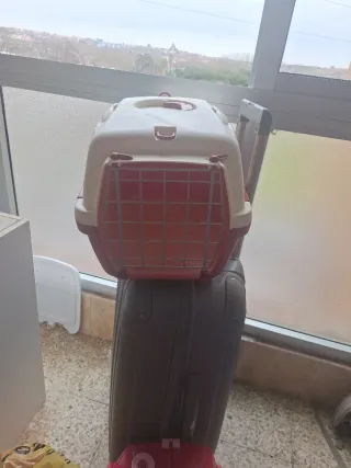 Transportín para mascotas rojo y blanco