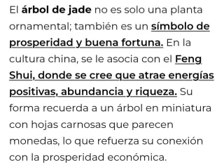 Maceta de la prosperidad