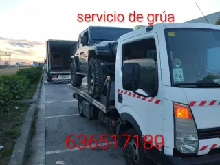 Servicio de grúa Asistencia portés auxilio