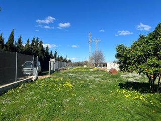 Terreno rústico marjal Gandia