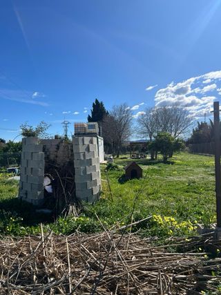 Terreno rústico marjal Gandia