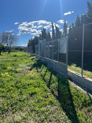 Terreno rústico marjal Gandia