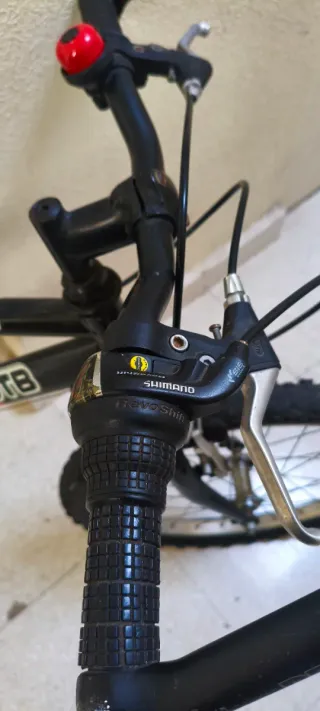 Bicicleta infantil DTB 200