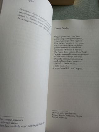 Libro “Antonio De Curtis, il principe poeta"