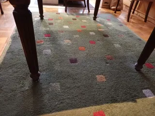 Alfombra de salón verde multicolor