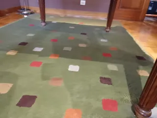 Alfombra de salón verde multicolor