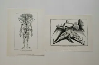 Grabados Historia de la Medicina (33 grabados