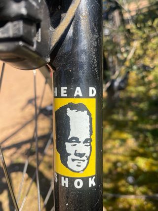 Bicicletta da montagna Cannondale F800 taglia M (170 +-)