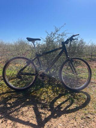 Bicicletta da montagna Cannondale F800 taglia M (170 +-)