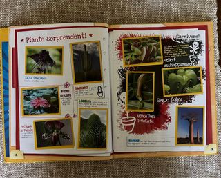 Album figurine National Geographic Penny