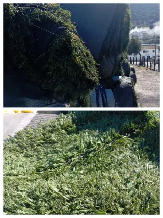 Césped artificial reciclado