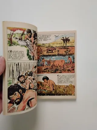 Lote 21 Comics La Gran Aventura de la Historia