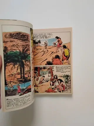 Lote 21 Comics La Gran Aventura de la Historia