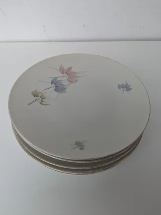 Set 6 Piatti Porcellana Decorati Floreali