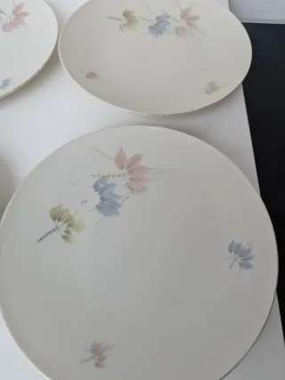 Set 6 Piatti Porcellana Decorati Floreali