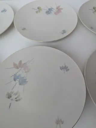 Set 6 Piatti Porcellana Decorati Floreali