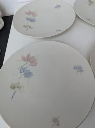 Set 6 Piatti Porcellana Decorati Floreali