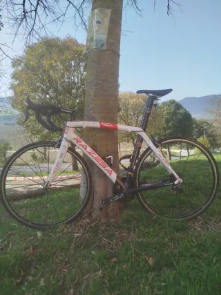 Bicicleta carretera Dedacciai Scuro RS talla 56