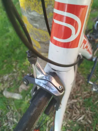 Bicicleta carretera Dedacciai Scuro RS talla 56