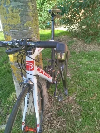 Bicicleta carretera Dedacciai Scuro RS talla 56