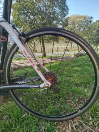 Bicicleta carretera Dedacciai Scuro RS talla 56