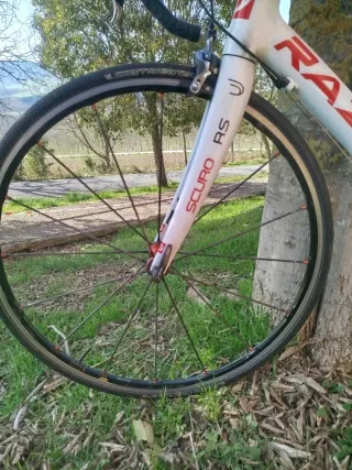 Bicicleta carretera Dedacciai Scuro RS talla 56