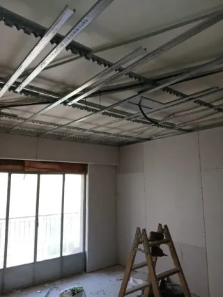 Pladurista profesional