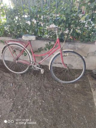 Bicicleta BH clásica para restaurar