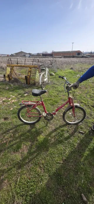 Lote de bicicletas por unidad a 30euros todas 100