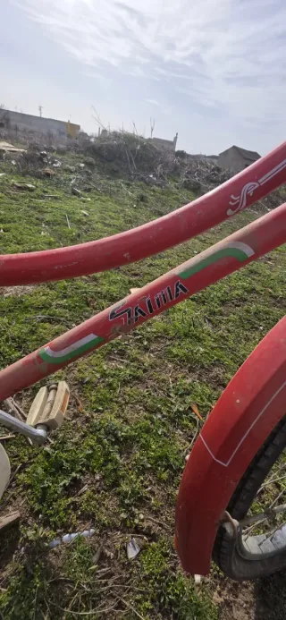 Lote de bicicletas por unidad a 30euros todas 100