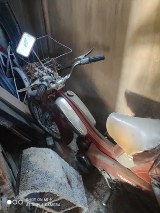 Mobylette antigua sin papeles