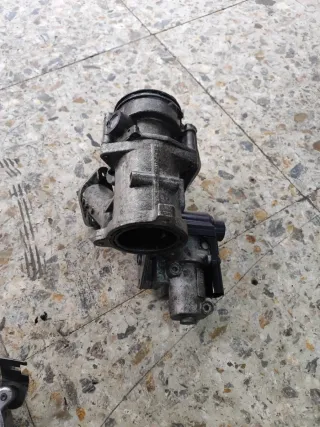 Colector, EGR, Mariposa, Enfriador VW