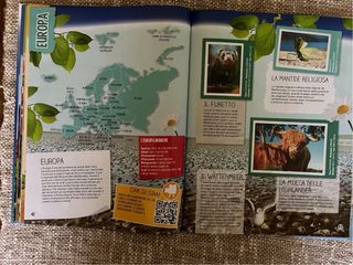 Album figurine Pianeta Terra Penny Market