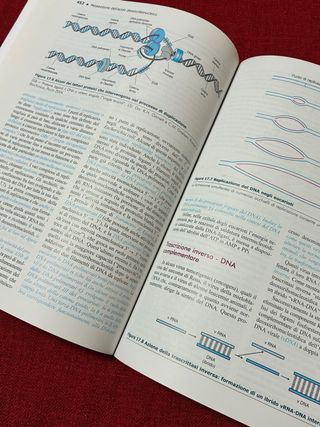 Biochimica medica strutturale metabolica e funz...
